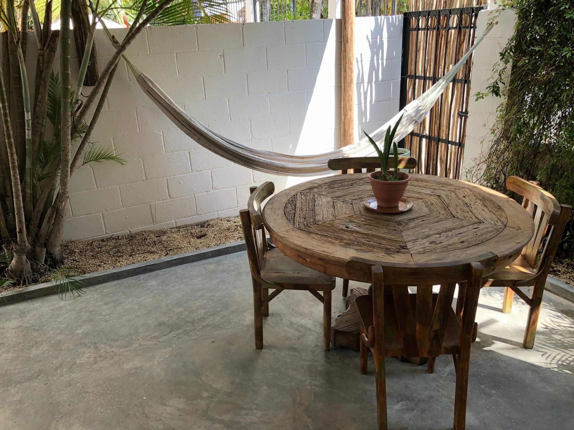 Casa La Palma B&B Плая дел Кармен Екстериор снимка